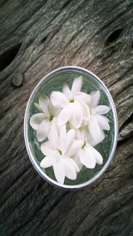 jasmine water