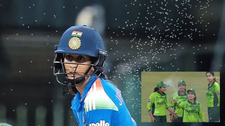 mosquito create problems in ind w vs pak w match of icc womens world cup 2025
