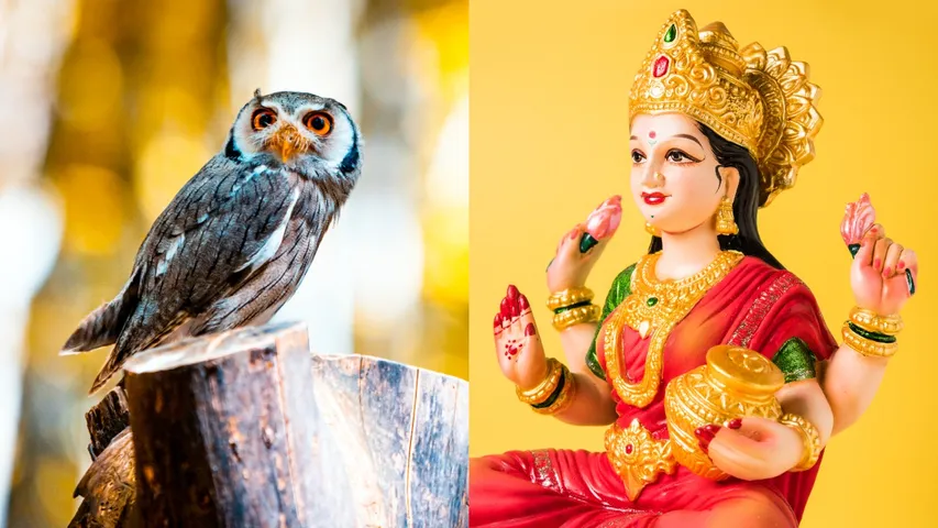 Diwali  and  Goddess Lakshmi