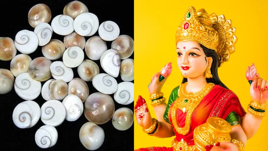 Gomati Chakra