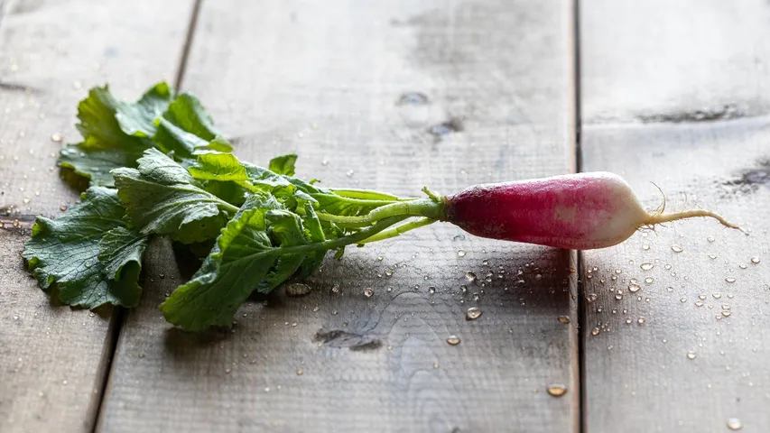 Radish leaves