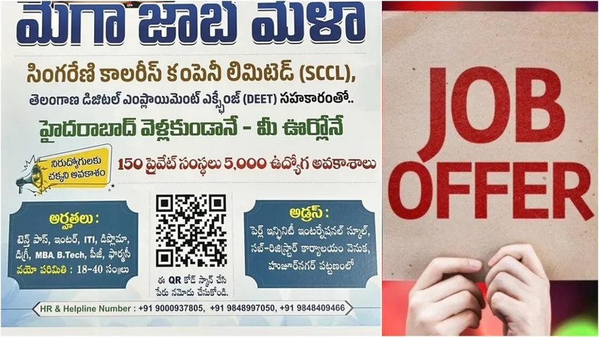 job (1)