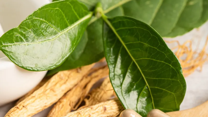 Ashwagandha
