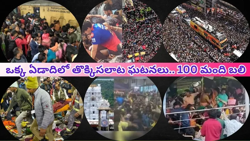 2025 Stampede Incidents (1)