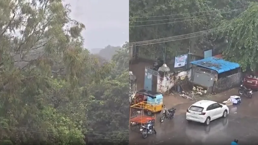 FotoJet - 2025-11-04T133130.760