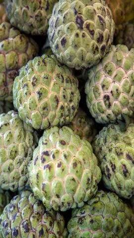 Custard Apple