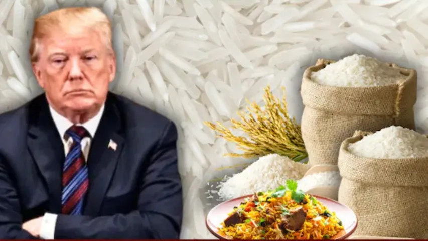 rice tariffs