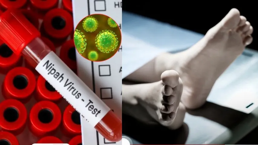 Nipah