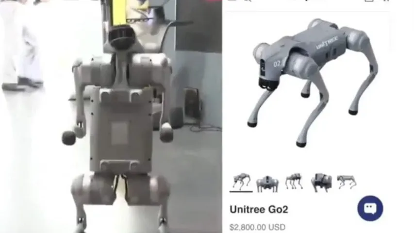 Robot Dogs Are Chinese