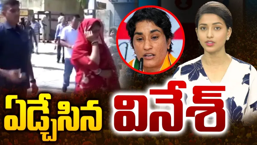 Vinesh phogat haryana election result 