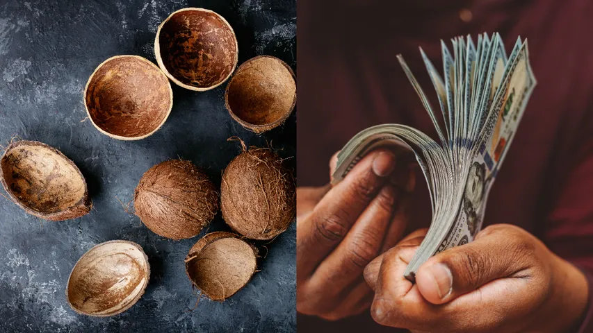 Coconut shells