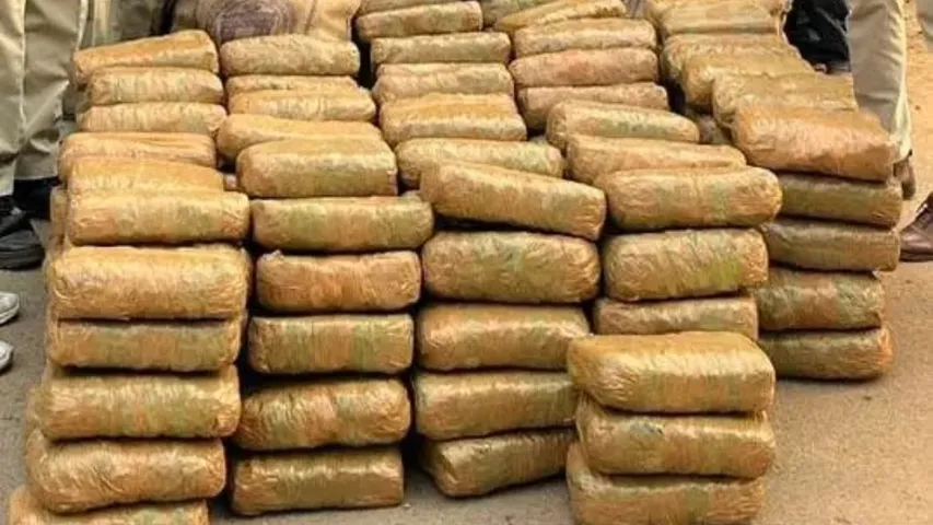 ganja seized 