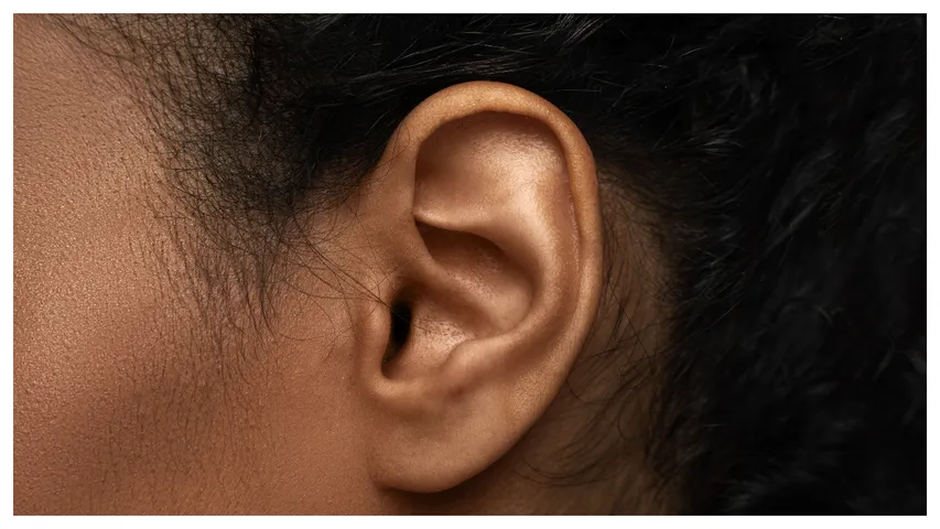 Ear