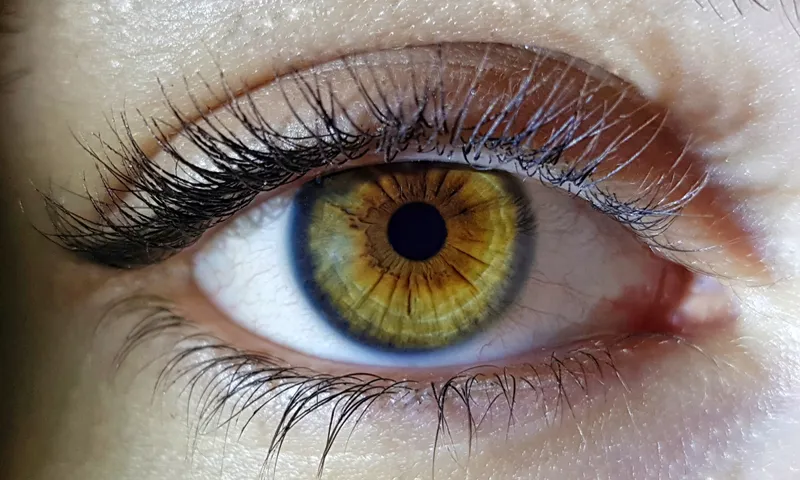 eye