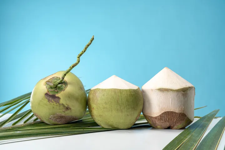 COCONUT12