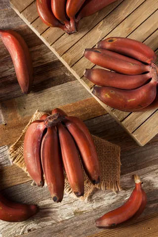raw-organic-red-bananas-2023-11-27-04-54-41-utc (1)