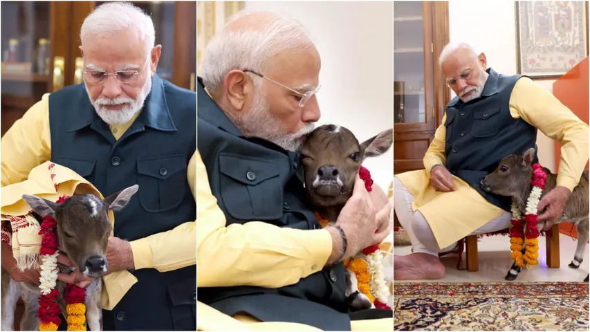 modi