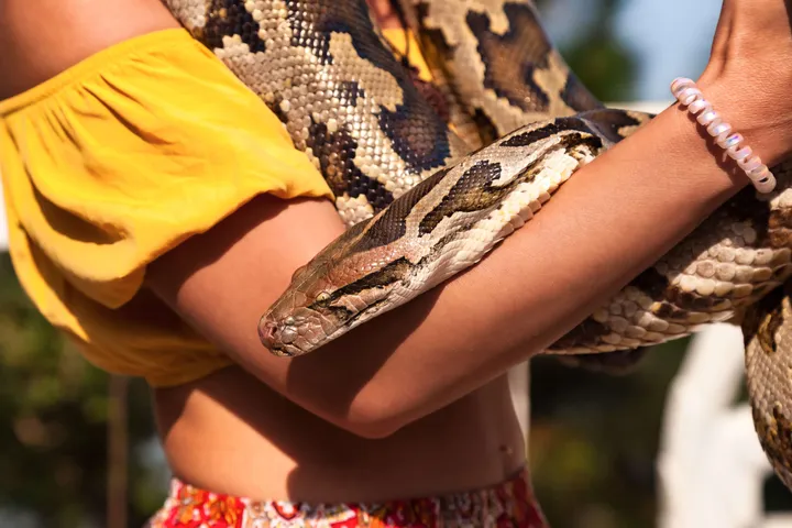 python9