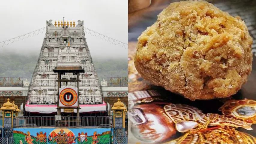 Tirupati Laddu