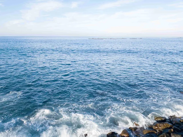 sea9