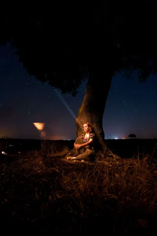 tree7 