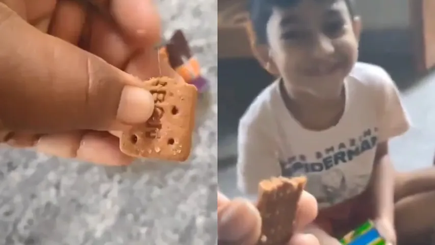 Iron Wire in Biscuit