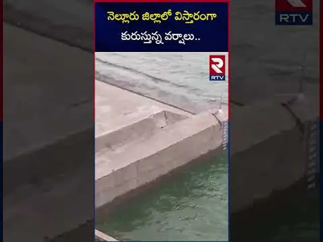 నెల్లూరు జిల్లాలో విస్తారంగా కురుస్తున్న వర్షాలు.. | Heavy rains in Nellore district.. | RTV