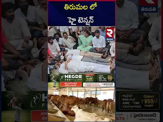 తిరుపతి గోశాలపై రాజకీయ రచ్చరచ్చ.. | High Tension in Goshala | TDP VS YCP | RTV