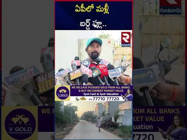 నరసరావుపేటకు చెందిన రెండేళ్ల చిన్నారి మృ*తి | Bird flu Incident in AP | 2 Years child | RTV