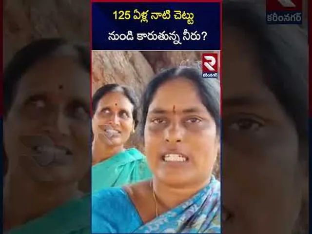 125 ఏళ్ల నాటి చెట్టు నుండి కారుతున్న నీరు? | Mystery Tree In Karimnagar | RTV