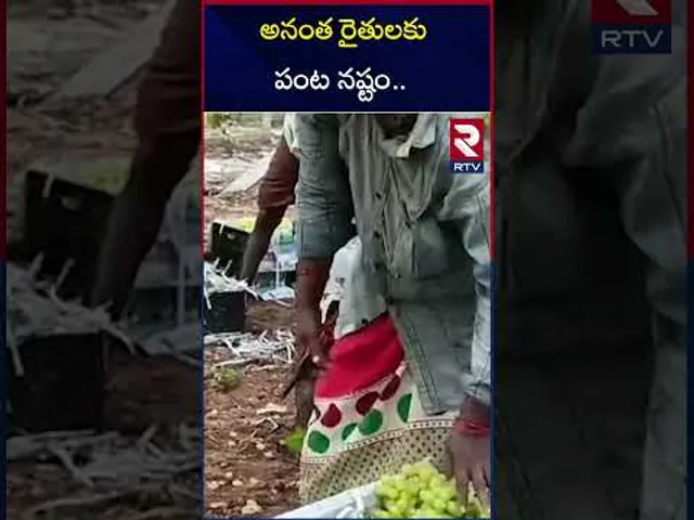 అనంత రైతులకు పంట నష్టం.. | Ananthapur | Damage to crops due to heavy rains | RTV
