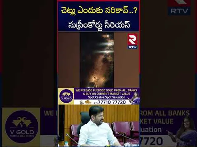 HCUలో చెట్ల న*రికివేత పై సుప్రీంకోర్టు సీరియస్ | Supreme Court Serious on HCU Lands Issue | RTV