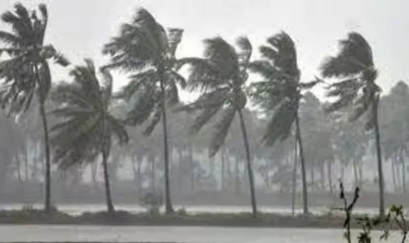 IMD: జూన్‌ 5 నుంచి 11 మధ్య రాష్ట్రంలోకి నైరుతి రుతుపవనాలు!