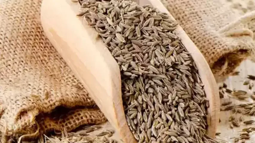 బంగారం కొన్నంత ఈజీ కాదు జీలకర్ర కొనడం..ధర తెలుస్తే షాక్ అవ్వడం పక్కా..!!