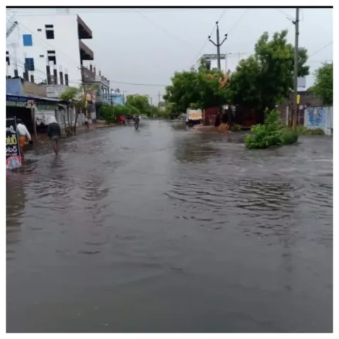 Rains: చిత్తడిగా మారిన ఉమ్మడి కరీంనగర్ జిల్లా