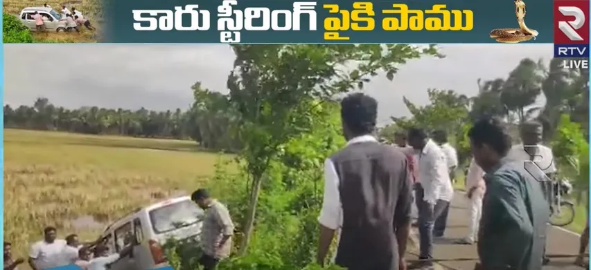 స్టీరింగ్‌ పైకి పాము, పంటపొలాల్లోకి కారు, తప్పిన పెను ప్రమాదం