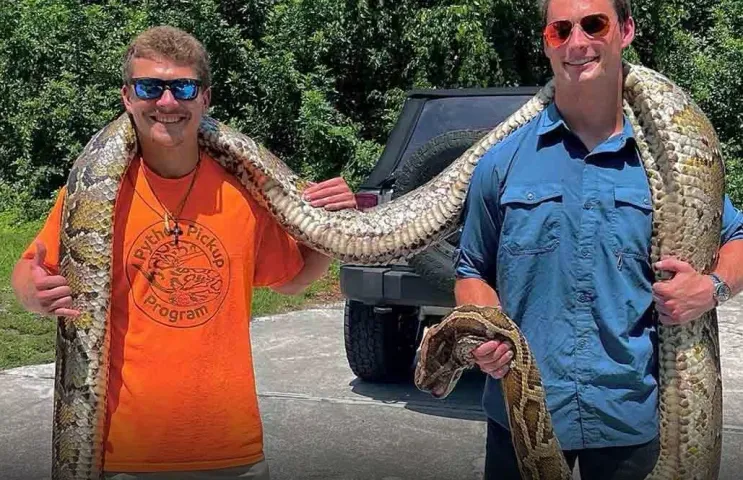 భారీ పైథాన్‌తో యువ‌కుడి యుద్ధం, చివరికి..?