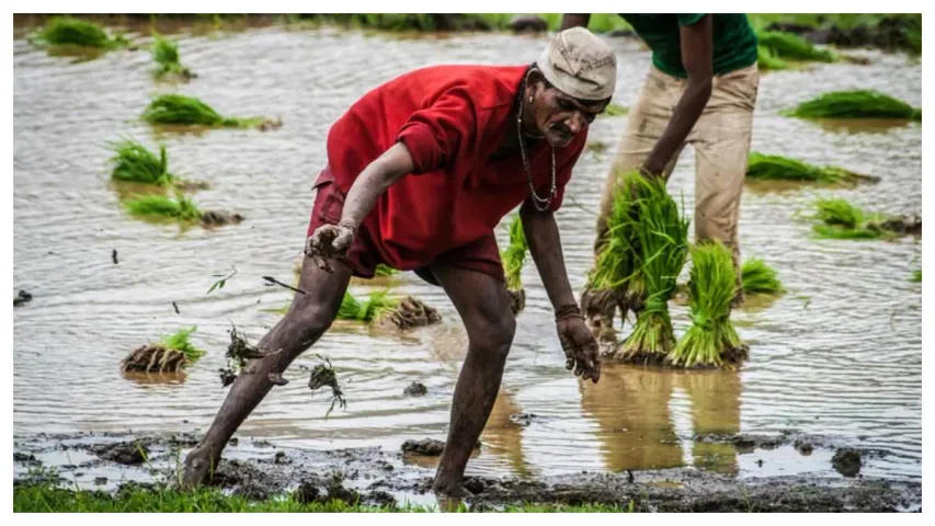 IMD: రైతులు ఇది మాత్రం చేయకండి.. వాతావరణ శాఖ కీలక సూచనలు