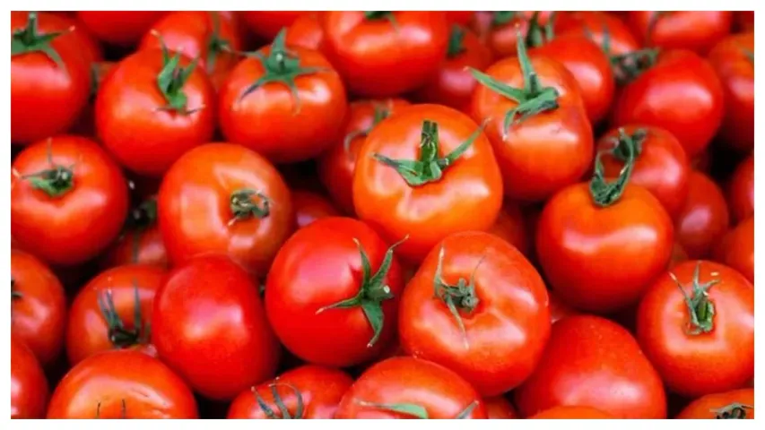 Tomato: సామాన్యులకు రిలీఫ్.. పడిపోయిన టమాటా ధరలు