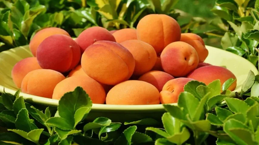 Health Tips : తొక్కె కదా అని తీసిపారేయకండి..వాటిలోని హెల్త్ బెనిఫిట్స్ తెలుస్తే వదిలిపెట్టరు..!!