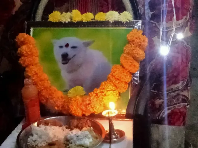 పెంపుడు కుక్క కోసం సంస్మరణ సభ..