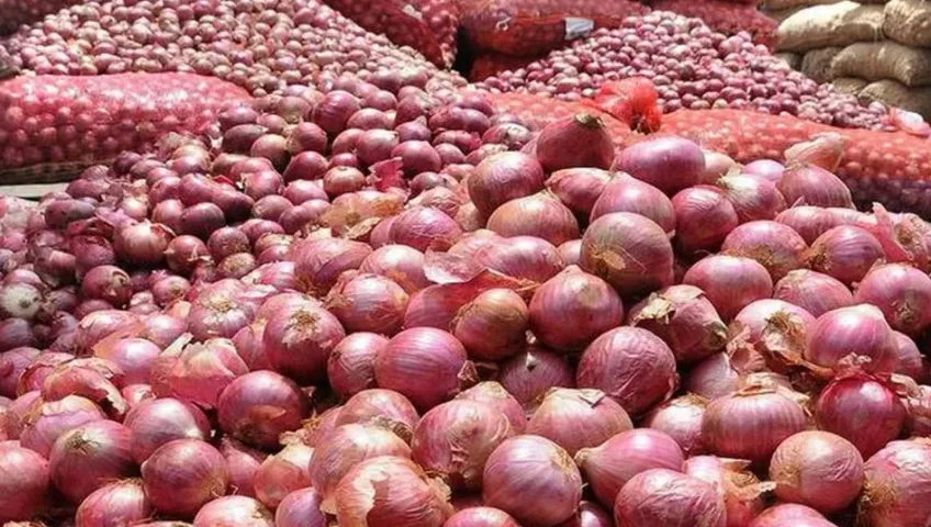 Onion Export: నిషేధం ఎత్తివేయడంతో ఉల్లి ఎగుమతులు మళ్లీ పెరిగాయి