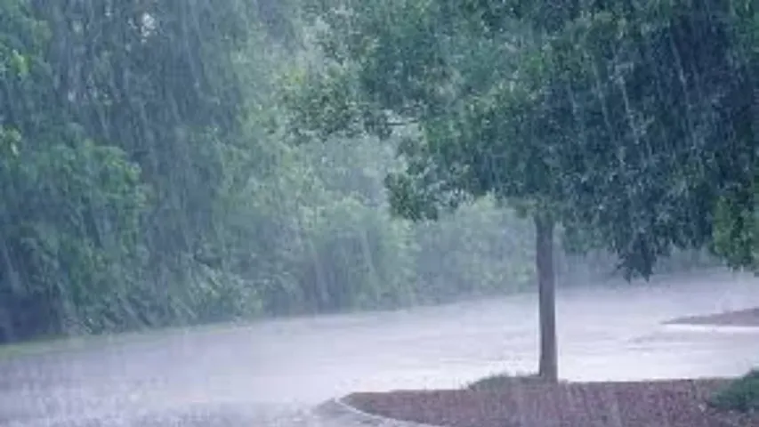 Rain: తెలుగు రాష్ట్రాల్లో మరో మూడ్రోజులు భారీ వర్షాలు.. సూచన తెలిపిన వాతావరణ శాఖ
