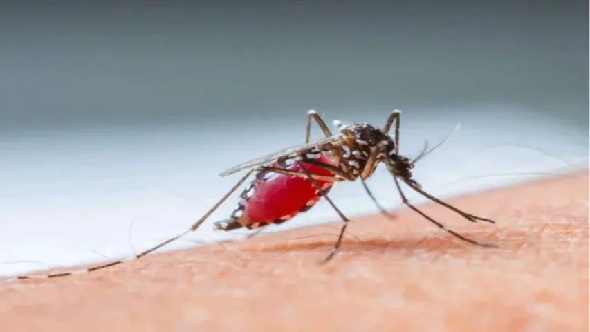 Zika Virus: ముంబైలో జికా వైరస్ మొదటి కేసు..అప్రమత్తమైన బీఎంసీ..!!