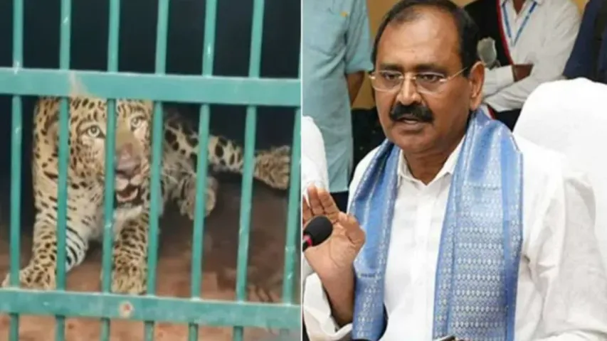 ఆపరేషన్‌ చిరుత నిర్వహిస్తున్నాం: టీటీడీ ఛైర్మన్‌ భూమన!