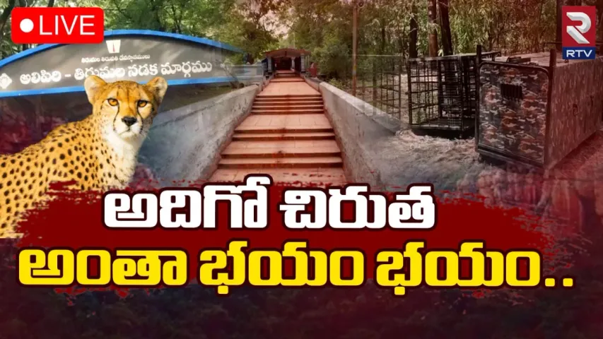 చిరుతపులి భయం ఎఫెక్ట్.. బోసిపోయిన అలిపిరి కాలినడక మార్గం!