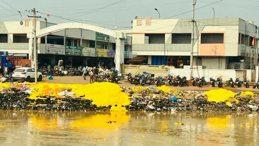 కర్నూలు పువ్వులు..కడియపులంక కాలువలో పారబోత..!