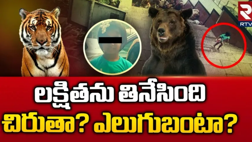 చిరుతనా? ఎలుగుబంటినా? లక్షిత మరణానికి కారణం ఏంటి?