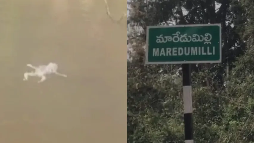 Alluri: మన్యంలో మంటకలిసిన మానవత్వం.. కొండ కాలువలో మగశిశువు కలకలం