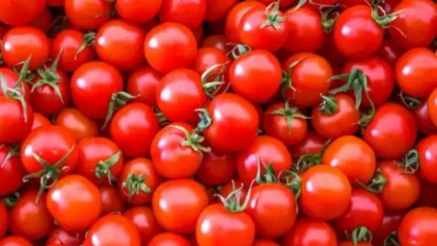Tomato price: దిగొచ్చిన టమాటా ధరలు.. కిలో ఎంతంటే.?
